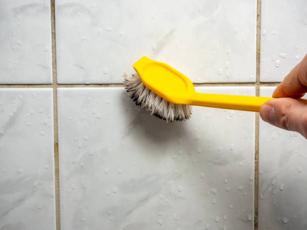  Wellston, OH Mold Removal Pros