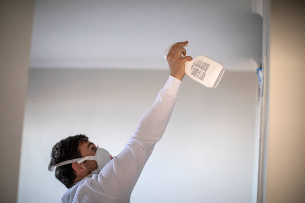 Best Basement Mold Remediation in Wellston, OH