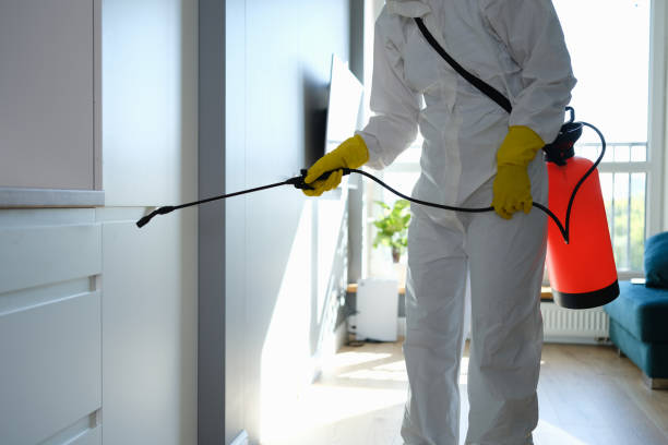 Wellston, OH Mold Remediation Company