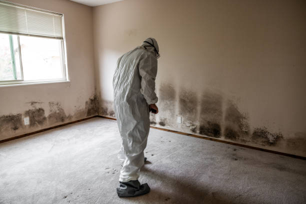 Best Industrial Mold Remediation in Wellston, OH